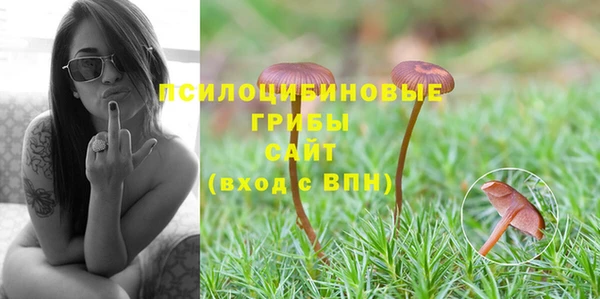 spice Заволжск