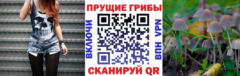 KRAKEN маркетплейс  Ишим  Галлюциногенные грибы MAGIC MUSHROOMS 