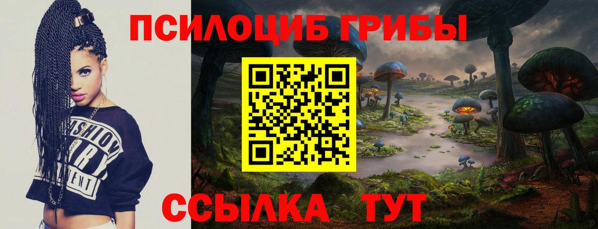 Галлюциногенные грибы GOLDEN TEACHER  Псилоцибиновые грибы прущие грибы  Ишим  сколько стоит  Вход с VPN 